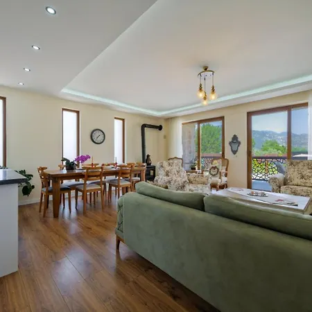 Villa Aleyna