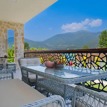 Aleyna Villa