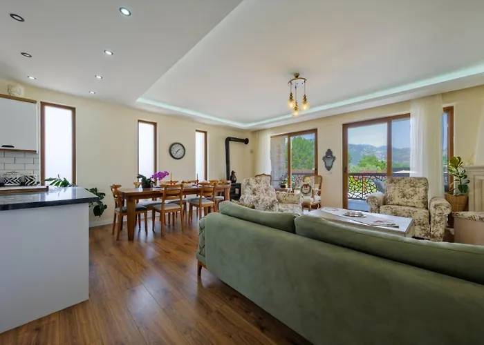 Villa Aleyna