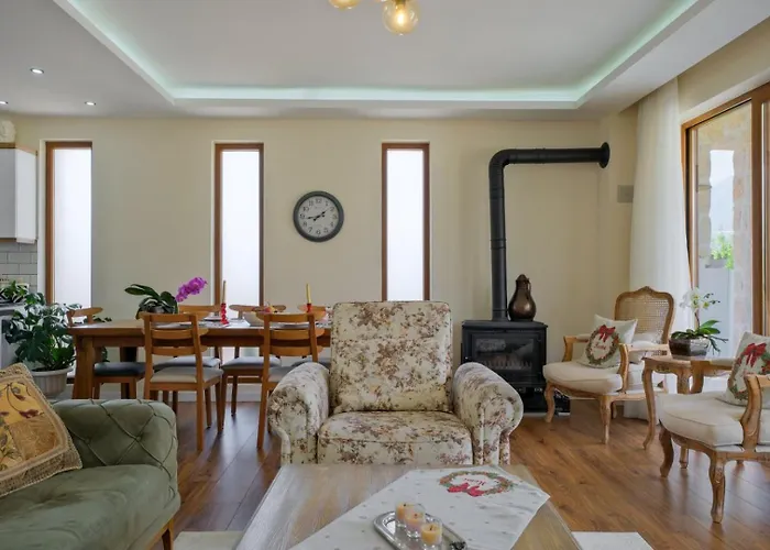 Villa Aleyna *