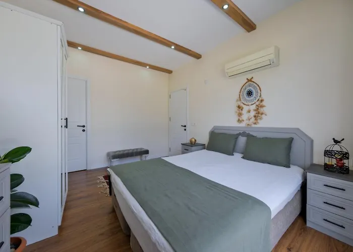 Villa Aleyna *